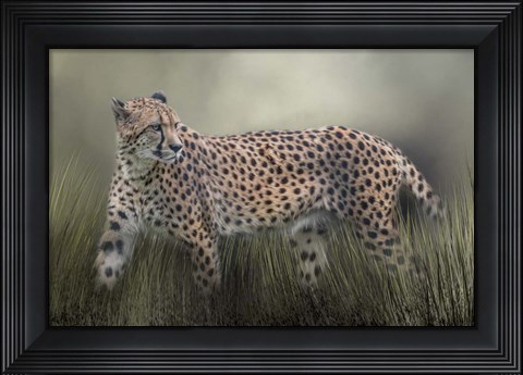 Framed Look Back Print