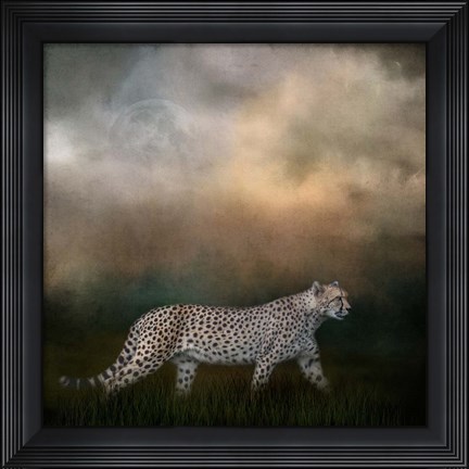 Framed Night Search Print