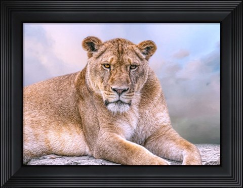 Framed Soothing Rest Print