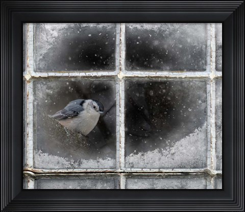 Framed Frosty Print