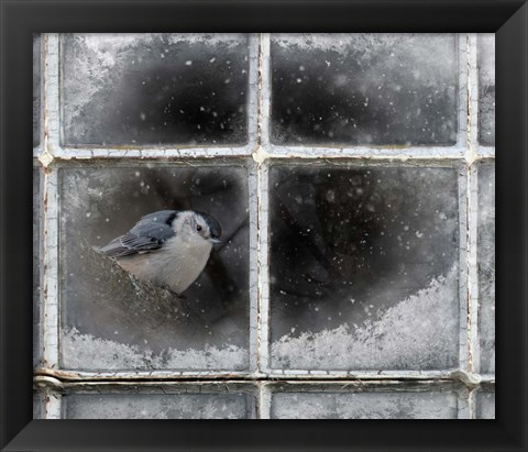 Framed Frosty Print