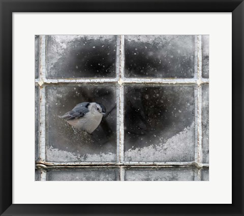 Framed Frosty Print