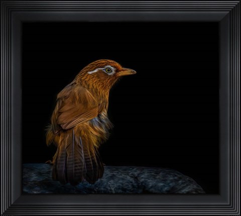 Framed Painted Eyebrow Print