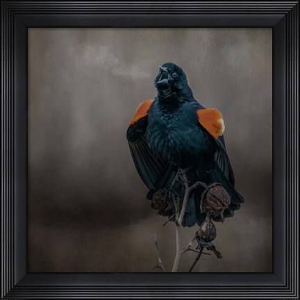 Framed Bird Breath Print