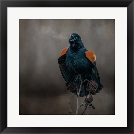 Framed Bird Breath Print