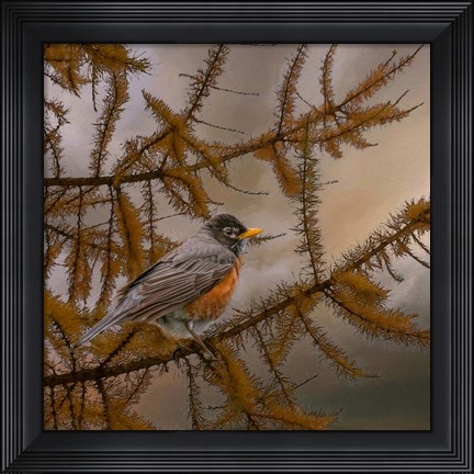 Framed Early Bird Print