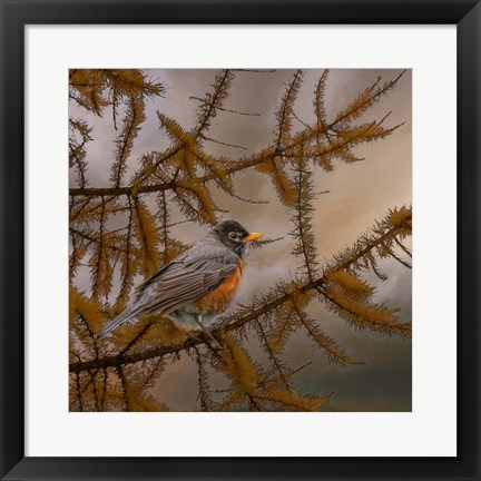 Framed Early Bird Print