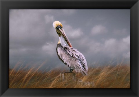 Framed Pelican Way Print