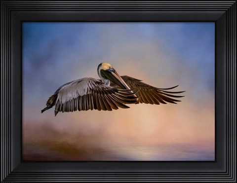 Framed Graceful Glider Print