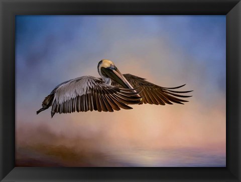 Framed Graceful Glider Print