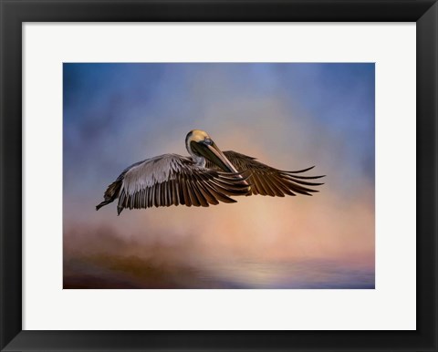 Framed Graceful Glider Print