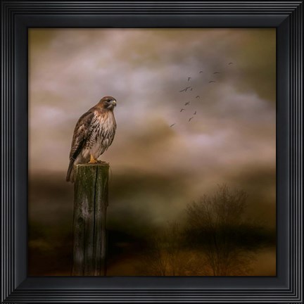 Framed Bold Hunter Print