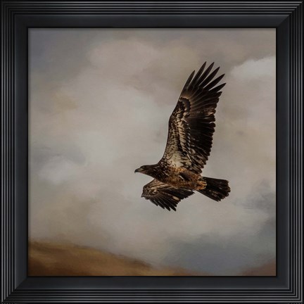 Framed Morning Hunter Print