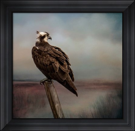 Framed Perfect Calm Print