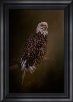 Framed Silent Warrior Print