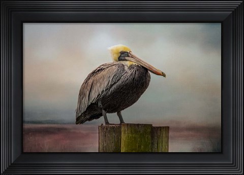 Framed Best Seat Print