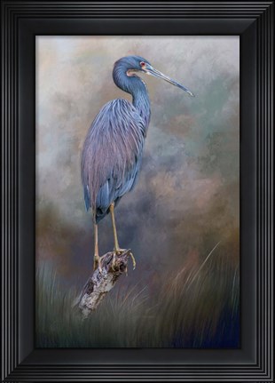 Framed Tri-Colored Beauty Print