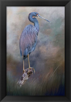 Framed Tri-Colored Beauty Print