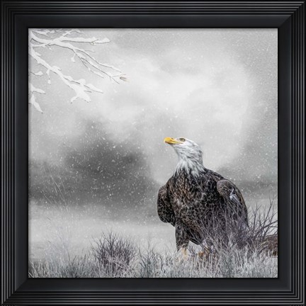 Framed Winter Daydreaming Print