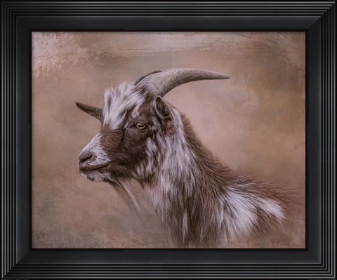 Framed Farm Friend Print