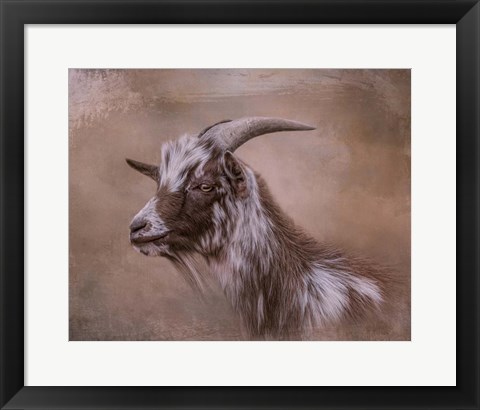 Framed Farm Friend Print