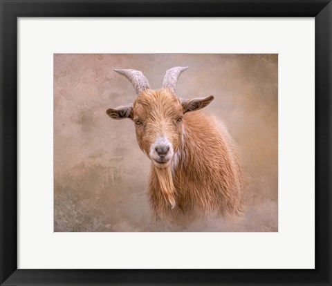 Framed Goat Goodness Print