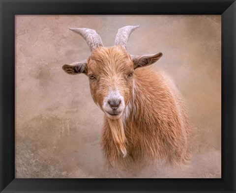 Framed Goat Goodness Print