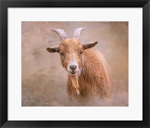 Framed Goat Goodness Print