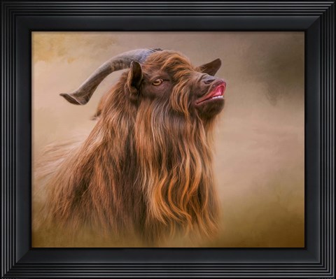 Framed Look Who&#39;s Smiling Now Print