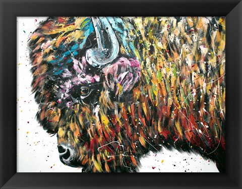 Framed Maximus Bison Print