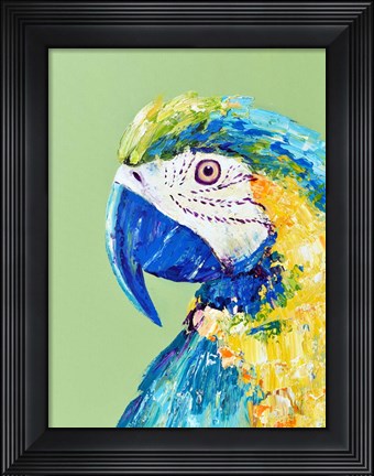 Framed Macaw Parrot Print