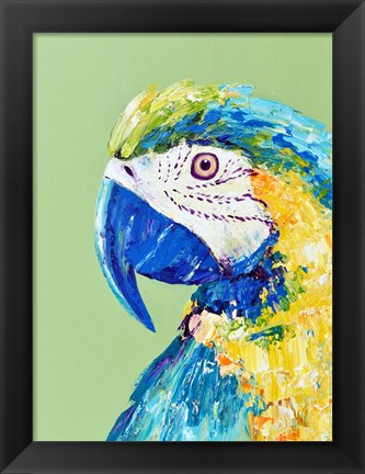 Framed Macaw Parrot Print