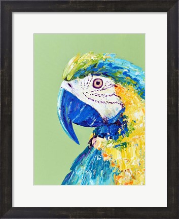 Framed Macaw Parrot Print