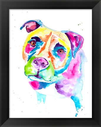 Framed Colorful Pitbull Print