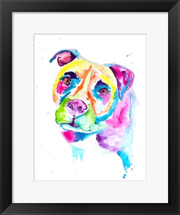 Framed Colorful Pitbull Print