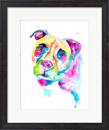 Framed Colorful Pitbull Print