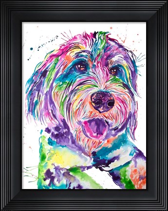 Framed Colorful Bernedoodle Print