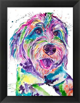 Framed Colorful Bernedoodle Print