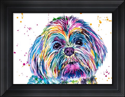 Framed Casper the Shih Tzu Print