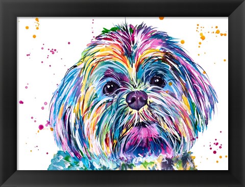 Framed Casper the Shih Tzu Print