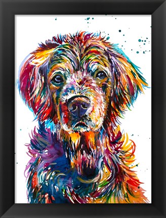 Framed Hopi the Retriever Print