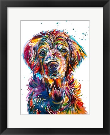Framed Hopi the Retriever Print