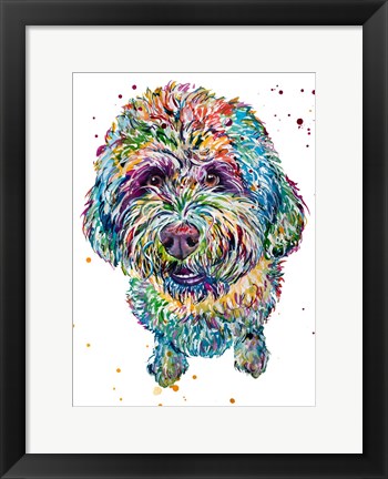 Framed Bo the Lagotta Romagnolo Print