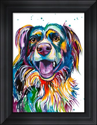 Framed Kato the Australian Shepherd Print