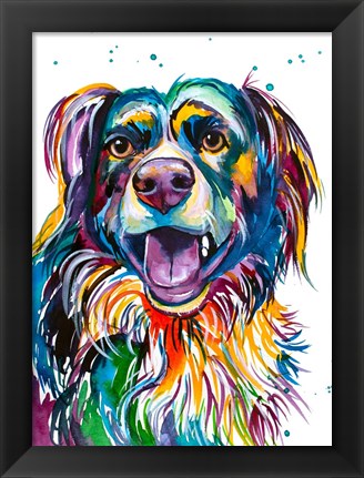 Framed Kato the Australian Shepherd Print