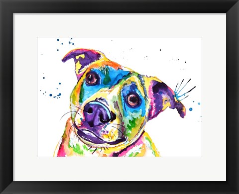 Framed Australian Cattle Dog Print