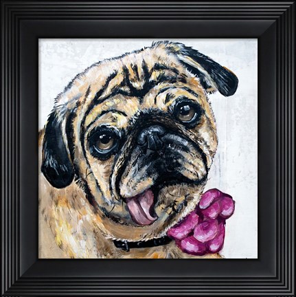 Framed Miss Molly the Pug Print