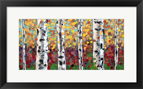 Framed Aspens in Color Print