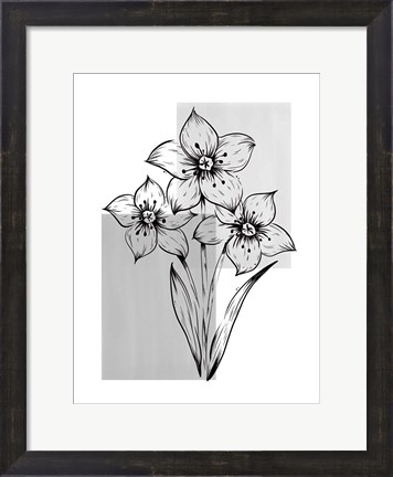 Framed Botanical Rectangle Print