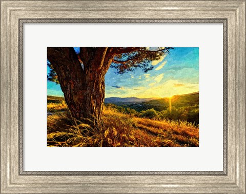 Framed Gnarled Tree at Sunset Print